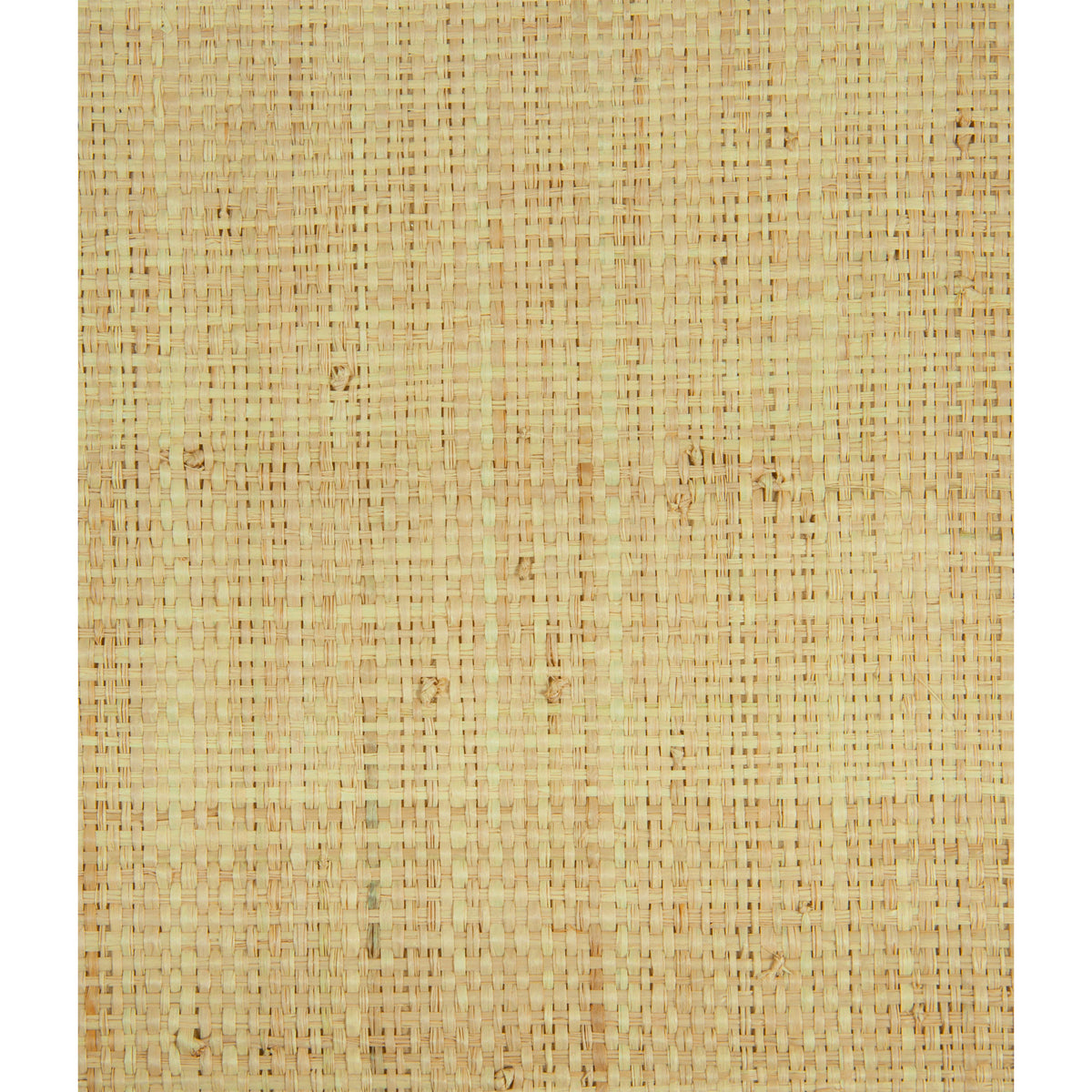 Heavy Raffia - Natural