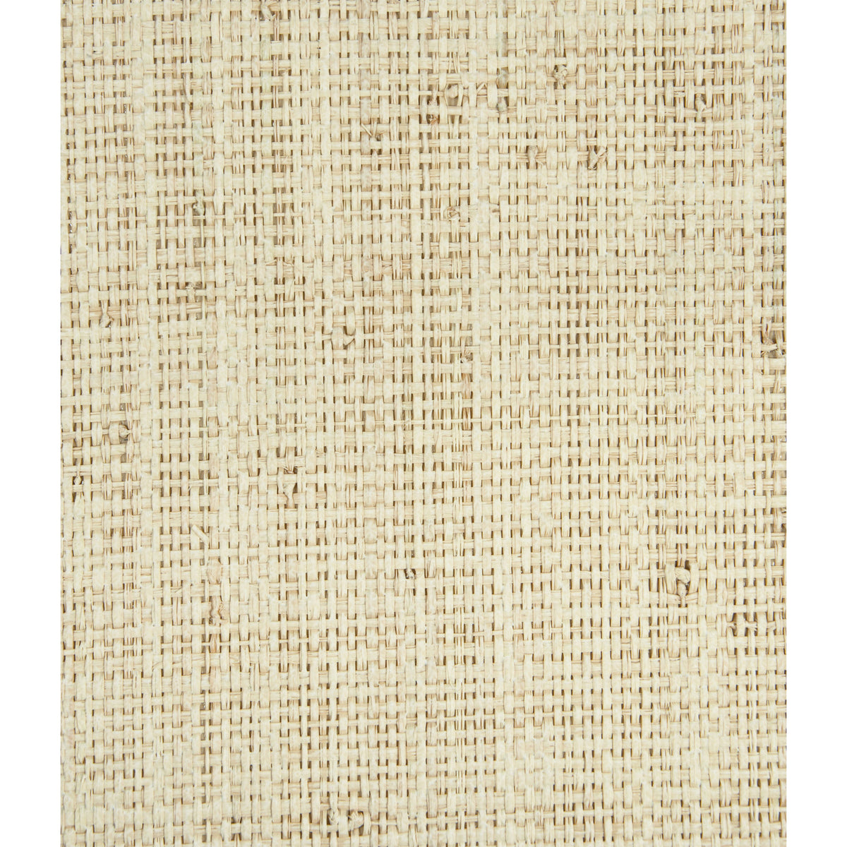 Heavy Raffia - Whitewash
