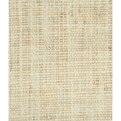 Heavy Raffia - Whitewash