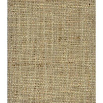 Heavy Raffia - Sage