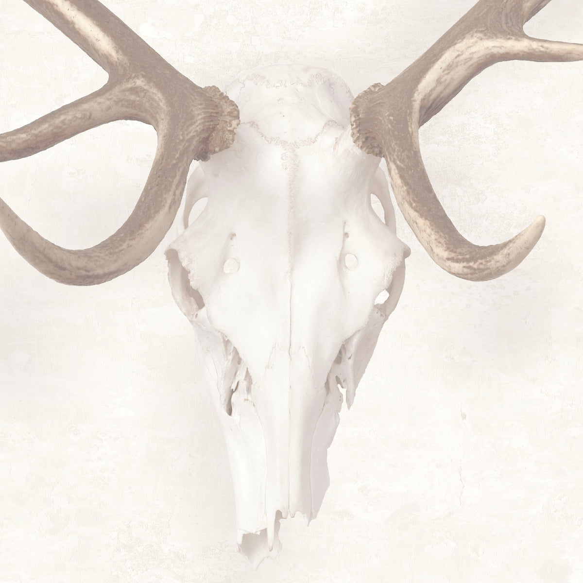 George The Stag - No Flower Crown Wallpaper