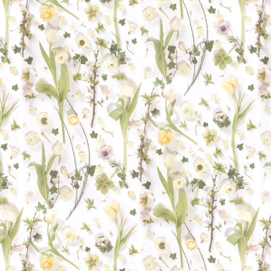 Springtime Designer Botanical Wallpaper by Woodchip & Magnolia