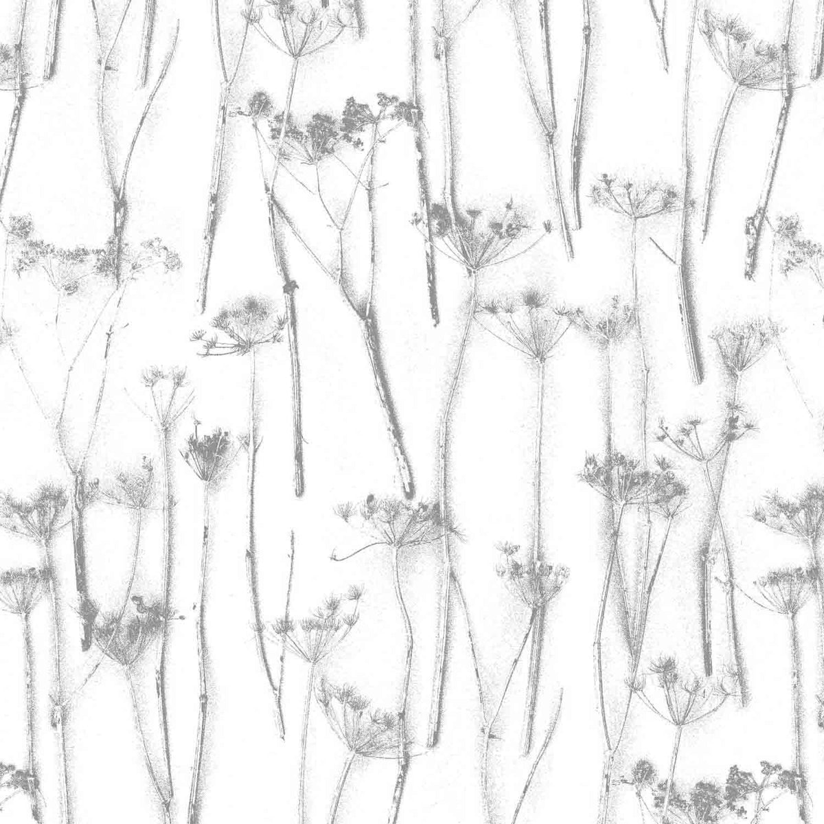 Queens Anne's lace' Wallpaper by Woodchip & Magnolia