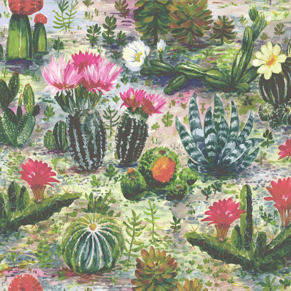 Cacti in Multi by Woodchip & Magnolia