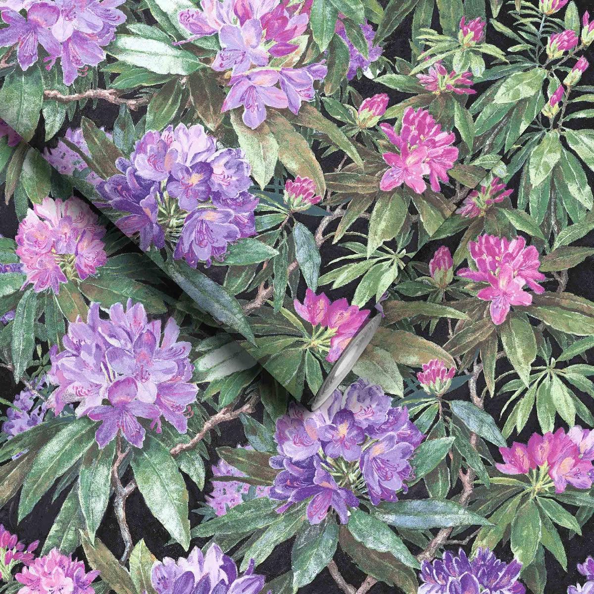 Rhododendron Purple & Black Wallpaper