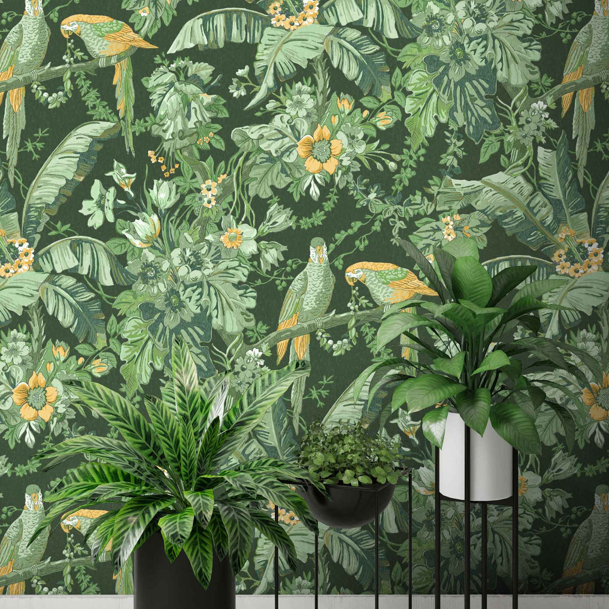 Parrot Talk Lush Green wallpaper by Woodchip & Magnolia
