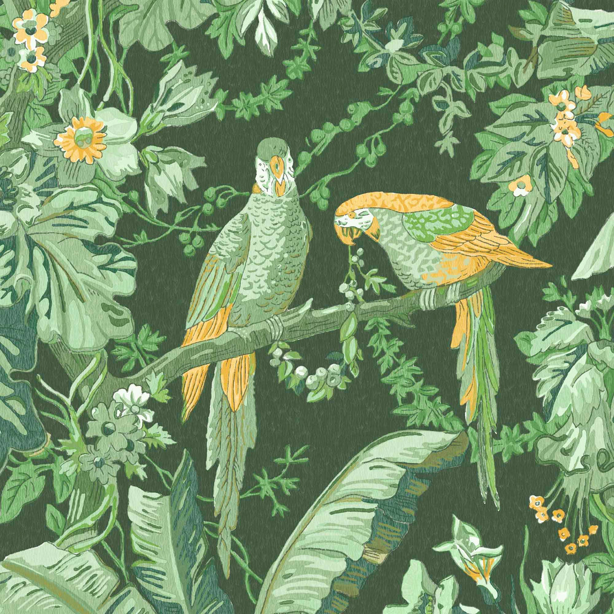 Parrot Talk Lush Green wallpaper by Woodchip & Magnolia