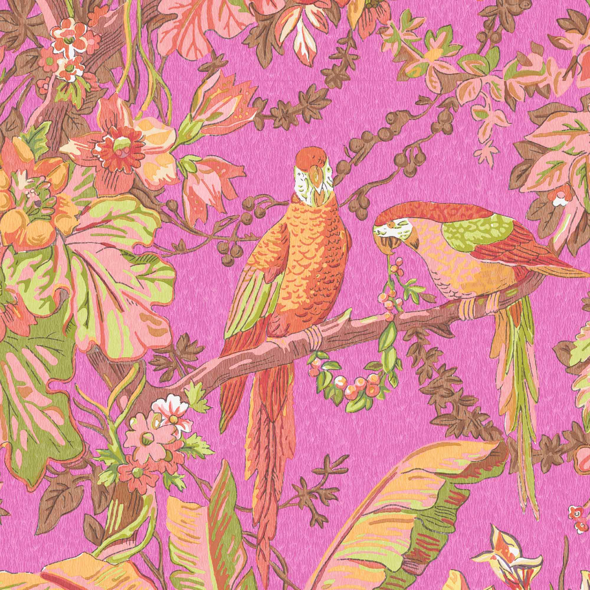 Parrot Talk Hot Pink wallpaper by Woodchip & Magnolia