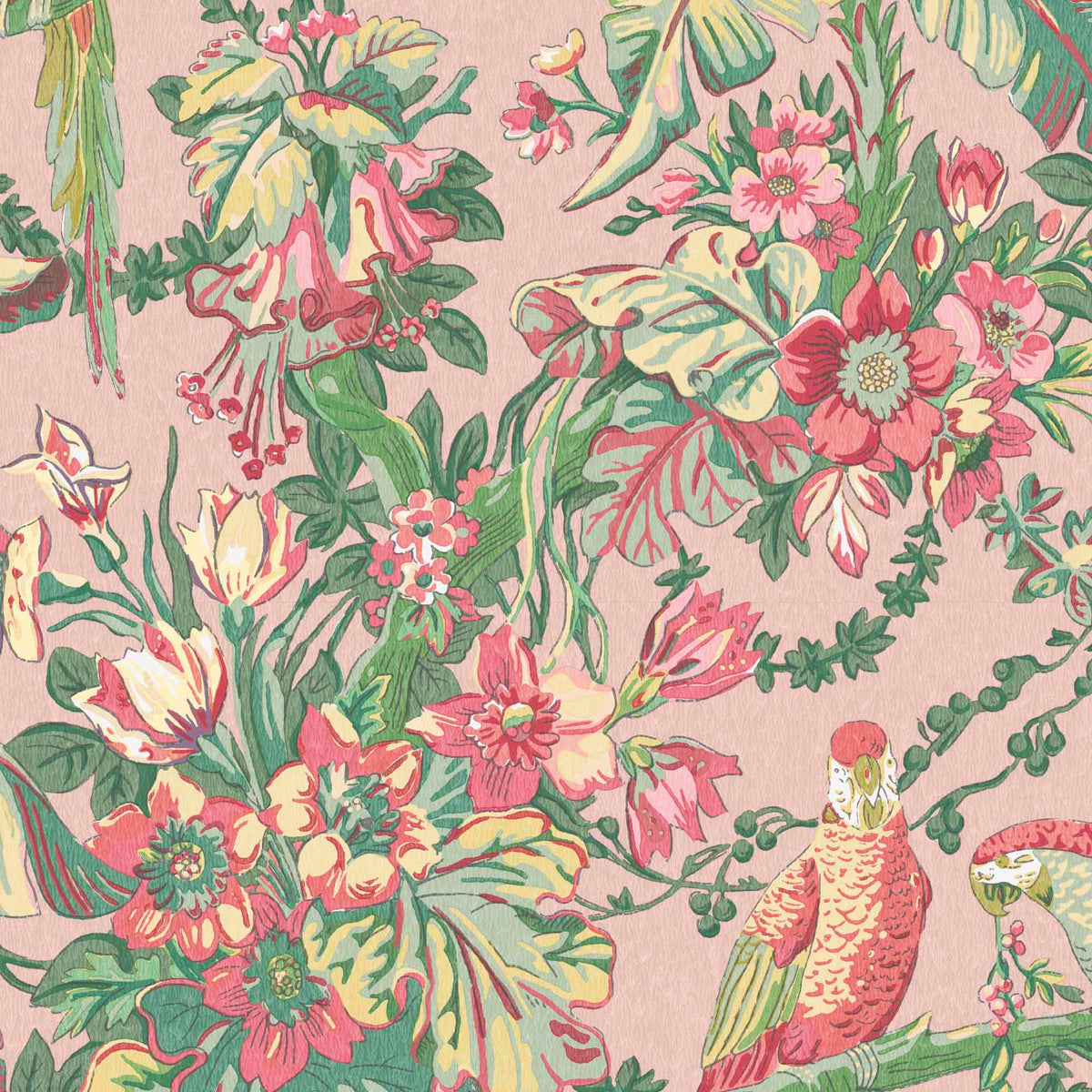 Parrot Talk Sunset Pink wallpaper by Woodchip & Magnolia
