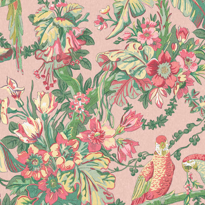 Parrot Talk Sunset Pink wallpaper by Woodchip & Magnolia