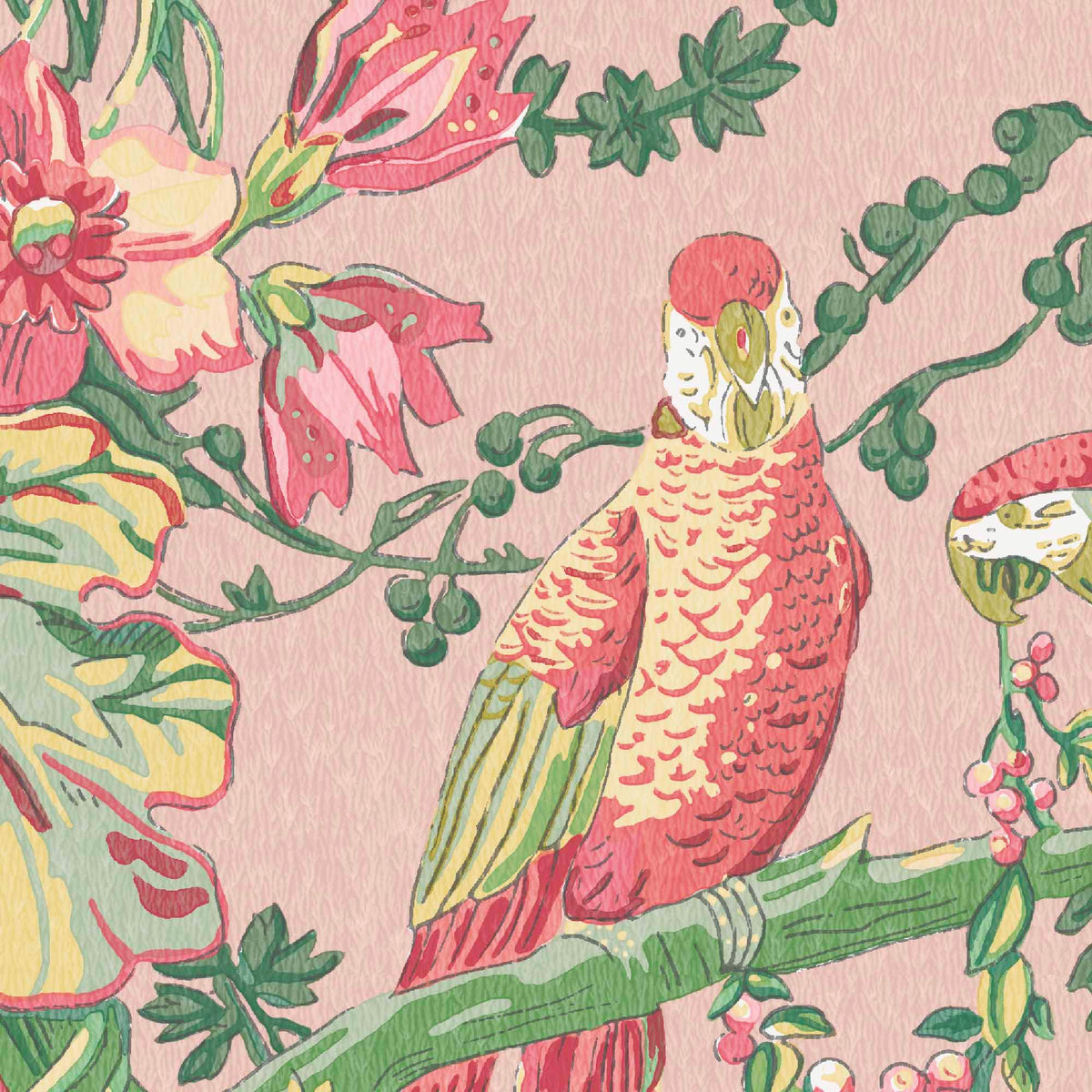 Parrot Talk Sunset Pink wallpaper by Woodchip & Magnolia