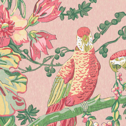 Parrot Talk Sunset Pink wallpaper by Woodchip & Magnolia