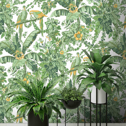 Parrot Talk Lush Green wallpaper by Woodchip & Magnolia