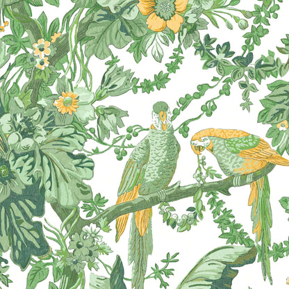 Parrot Talk Lush Green wallpaper by Woodchip & Magnolia