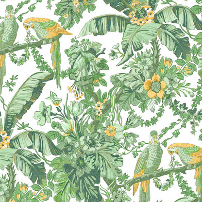Parrot Talk Lush Green wallpaper by Woodchip & Magnolia