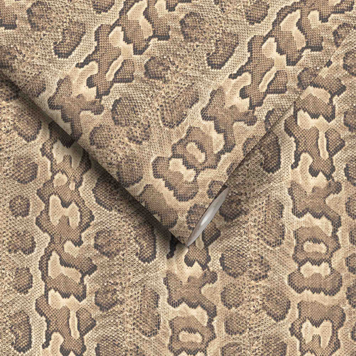 Love Her Madly in Python Wallpaper