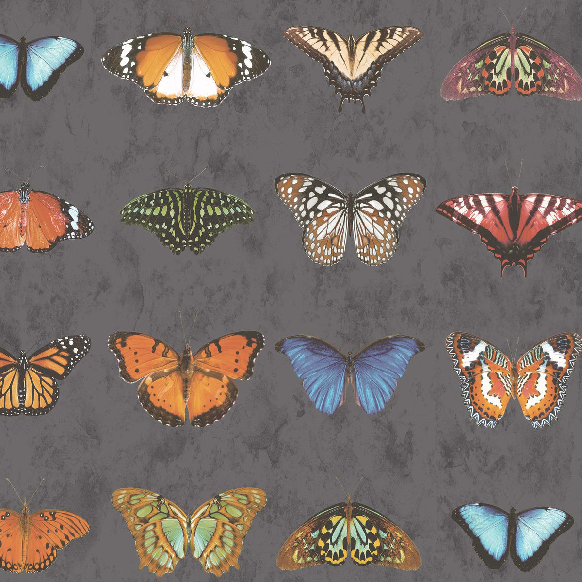 Butterfly Wallpaper - Insect Wallpaper For Walls - Woodchip & Magnolia
