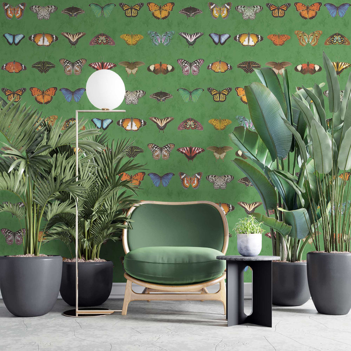 Lepidoptera Willow Green Wallpaper
