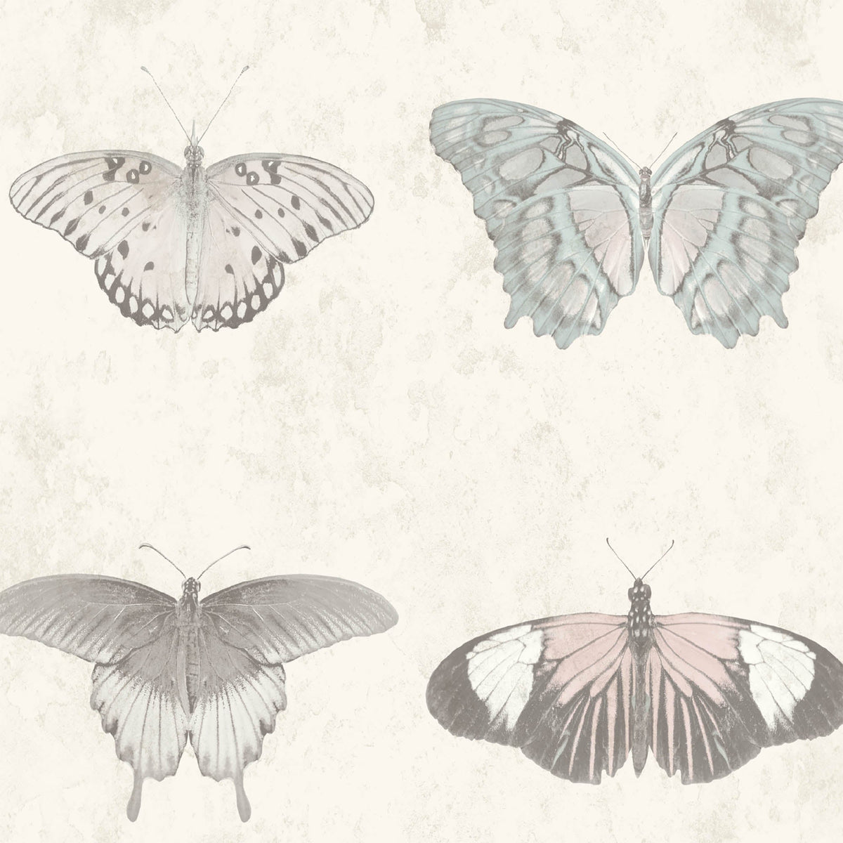 Lepidoptera Pastel Wallpaper
