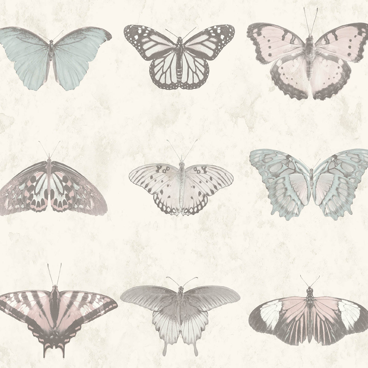 Lepidoptera Pastel Wallpaper