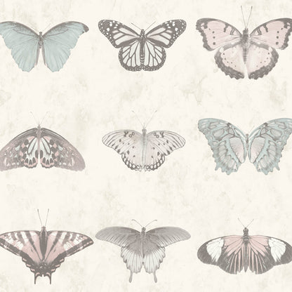 Lepidoptera Pastel Wallpaper