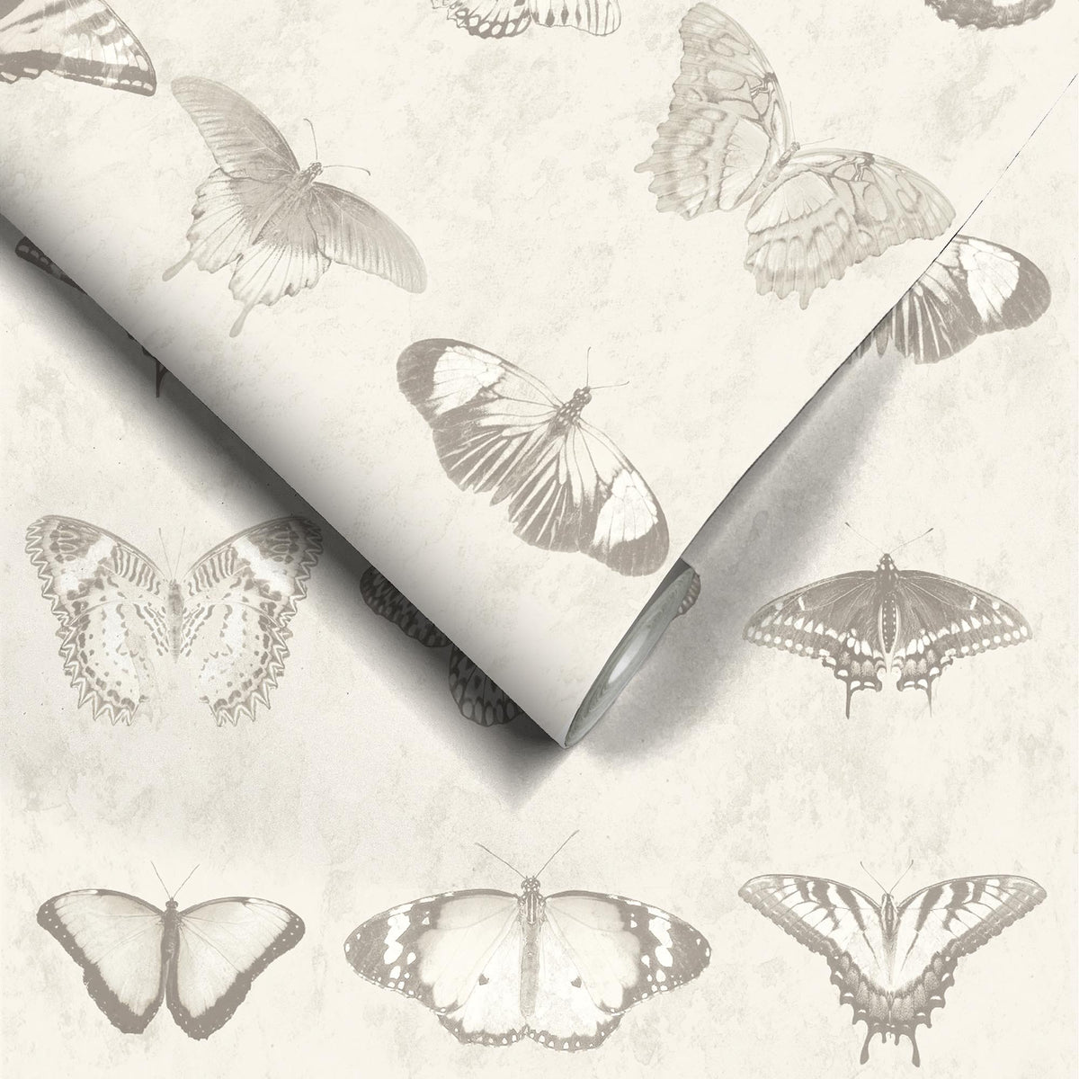 Lepidoptera Magnolia Wallpaper