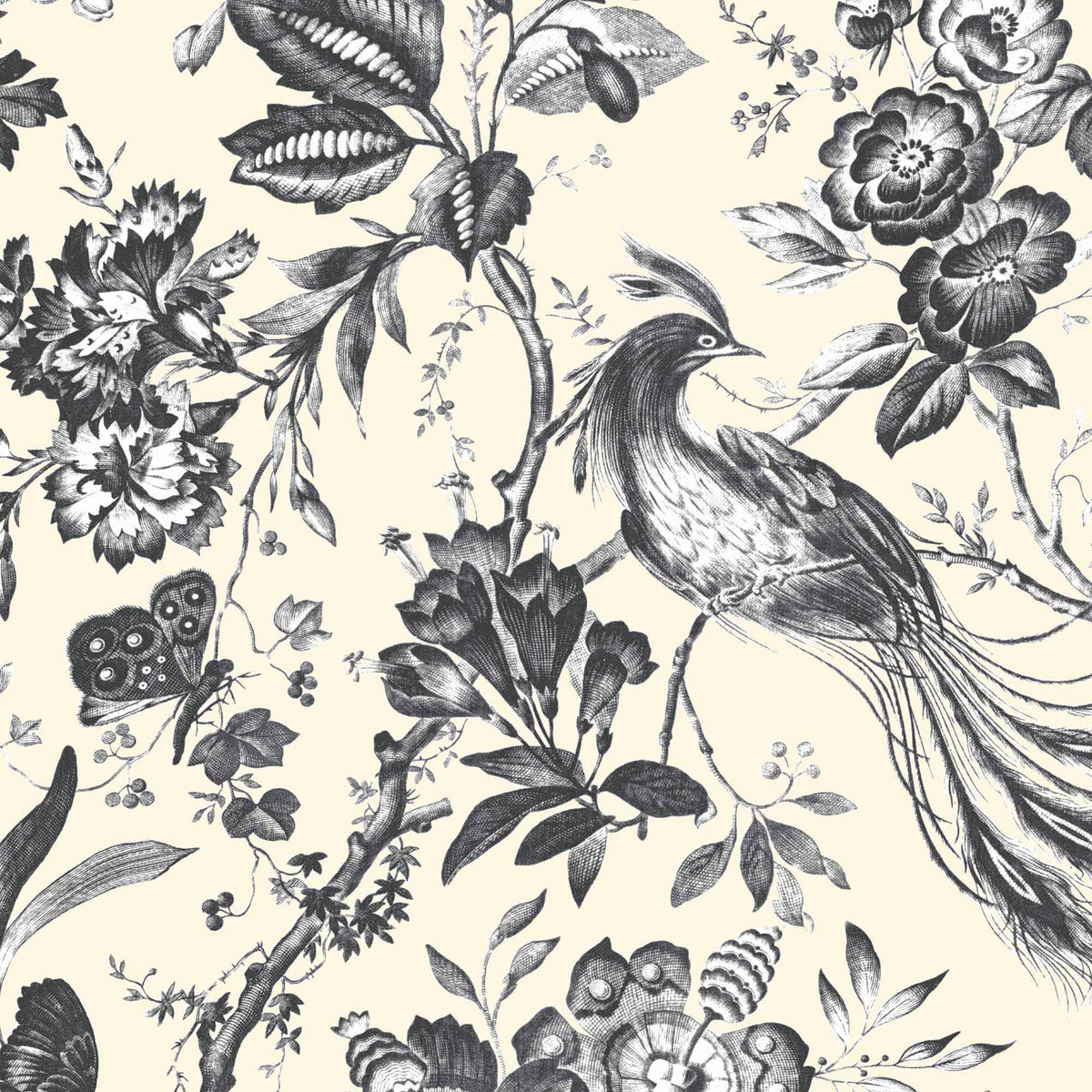 Plumage Charcoal/Cream Wallpaper By Woodchip & Magnolia