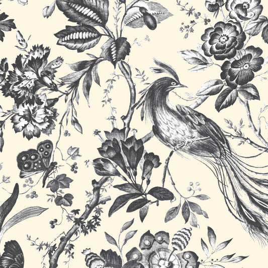 Plumage Charcoal/Cream Wallpaper By Woodchip & Magnolia