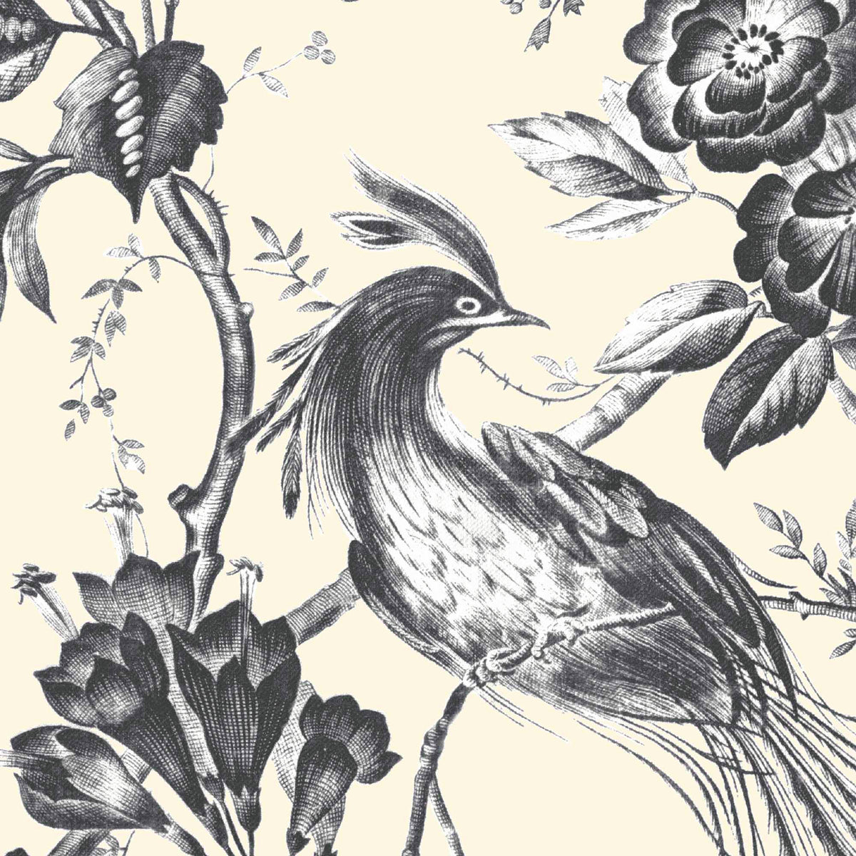 Plumage Charcoal/Cream Wallpaper By Woodchip & Magnolia