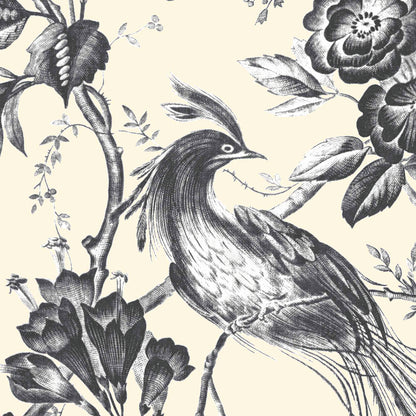 Plumage Charcoal/Cream Wallpaper By Woodchip & Magnolia