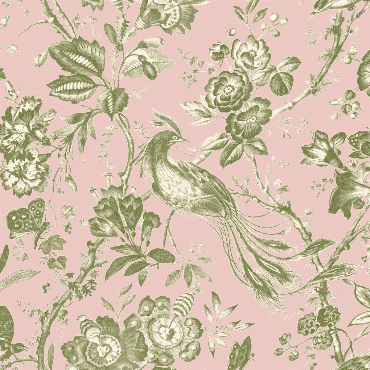 Plumage Plaster Pink/Cream Botanical Bird Wallpaper By Woodchip & Magnolia