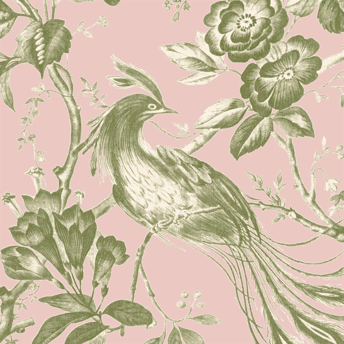 Plumage Plaster Pink/Cream Botanical Bird Wallpaper By Woodchip & Magnolia