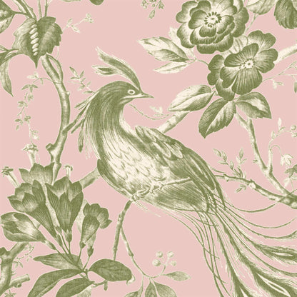 Plumage Plaster Pink/Cream Botanical Bird Wallpaper By Woodchip & Magnolia