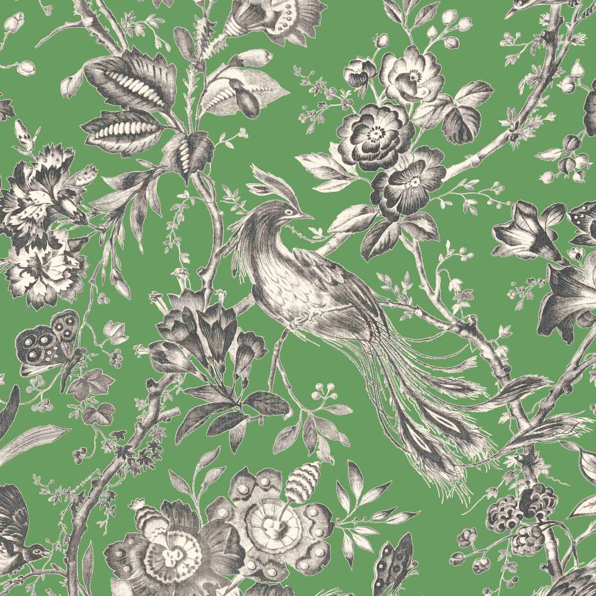 Plumage Jade Botanical Bird Wallpaper By Woodchip & Magnolia