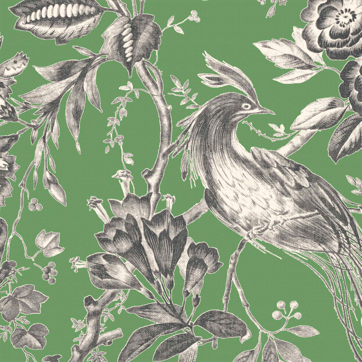 Plumage Jade Botanical Bird Wallpaper By Woodchip & Magnolia