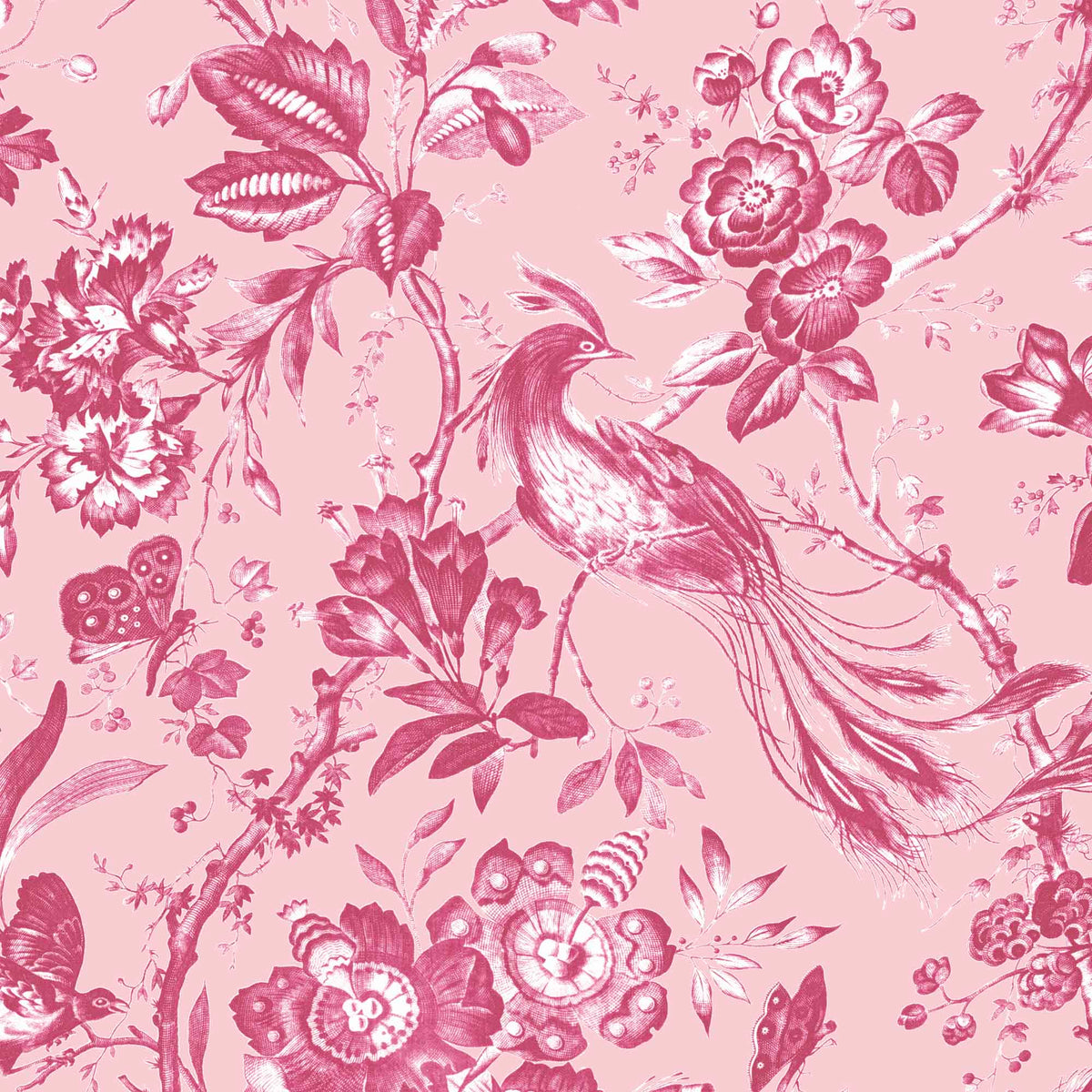 Plumage Peony Pink Botanical Bird Wallpaper By Woodchip & Magnolia