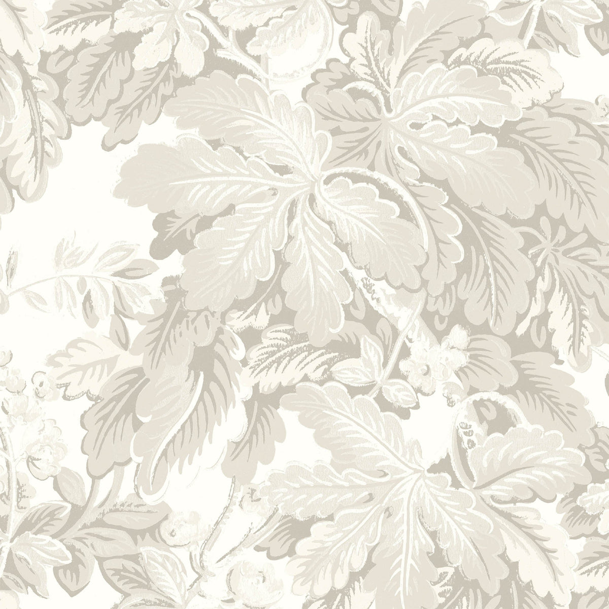 Avar Magnolia Wallpaper