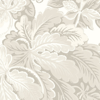 Avar Magnolia Wallpaper