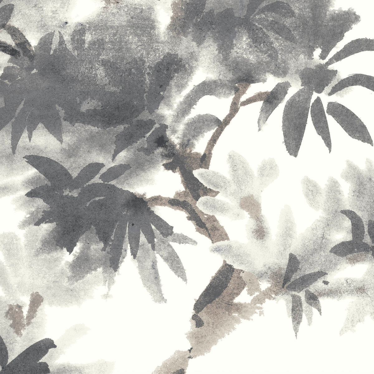 Aralia Grey Wallpaper