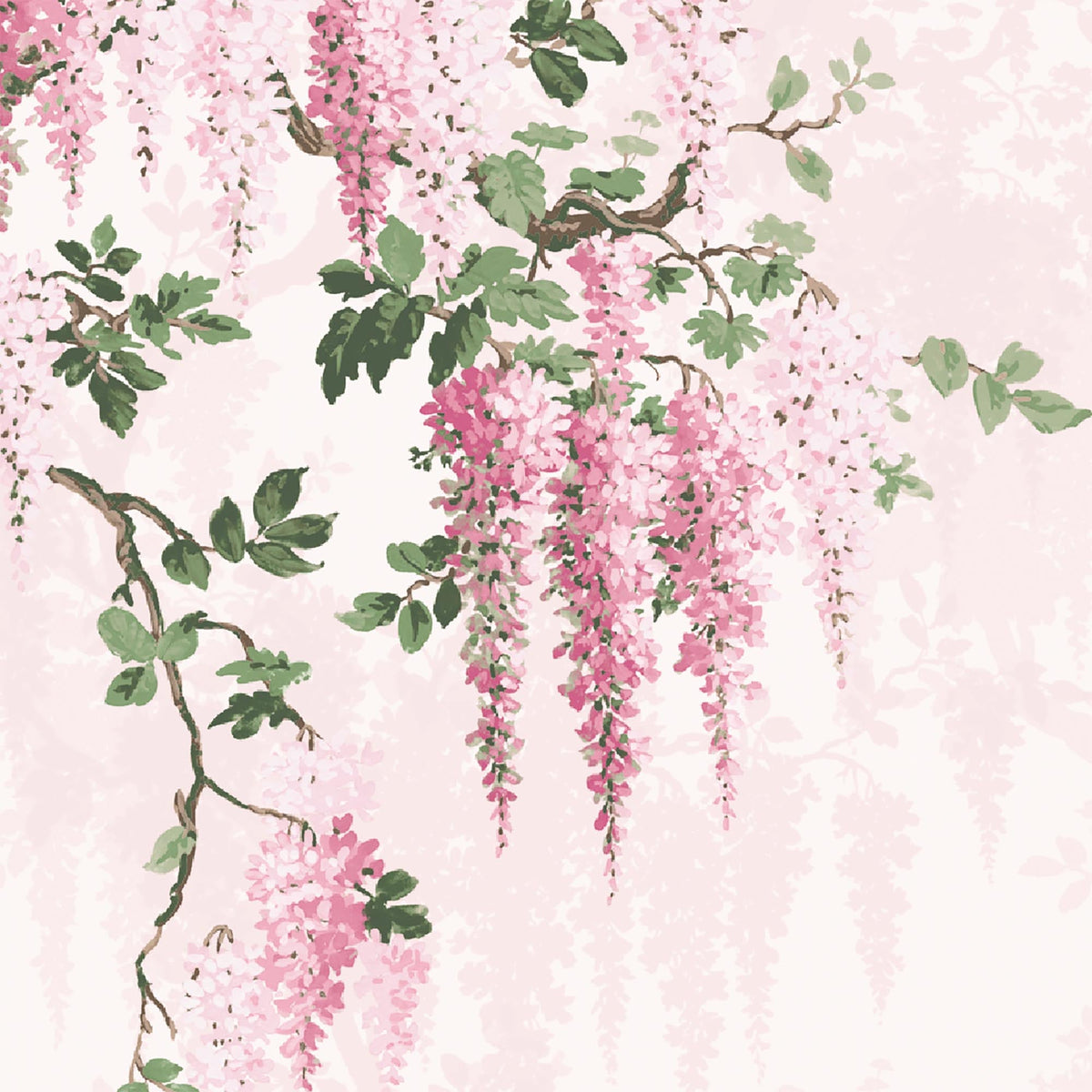 Wisteria Botanical Pretty Pink Border