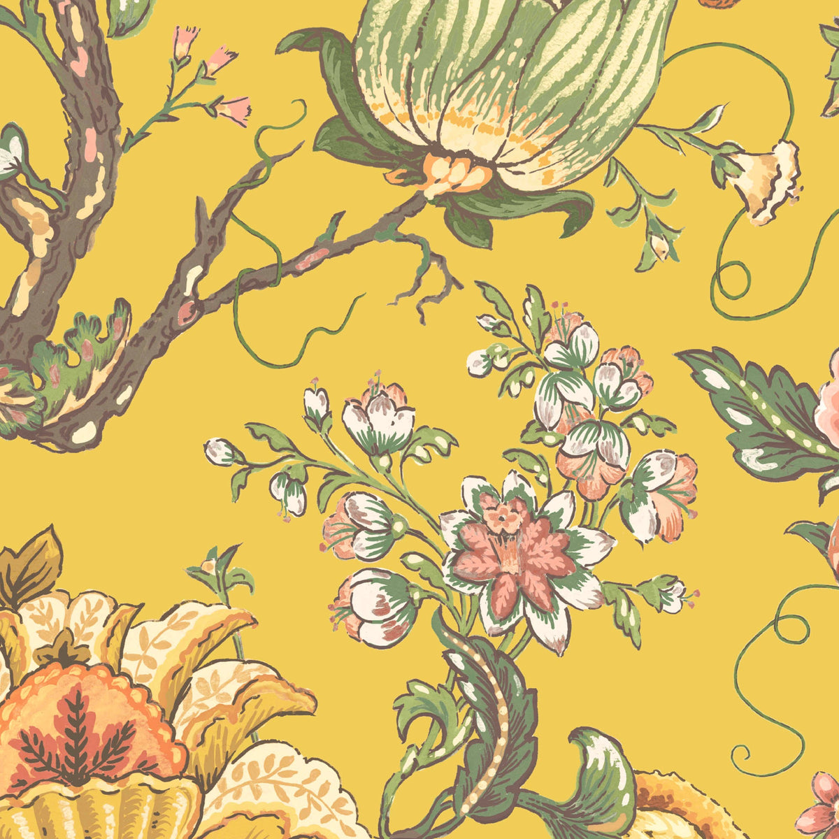 Arcadia Daffodil wallpaper by Woodchip & Magnolia