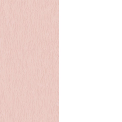 Awning Stripe Blush Pink wallpaper by Woodchip & Magnolia