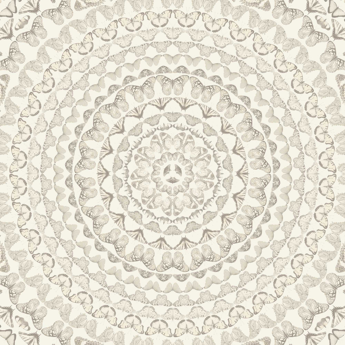 Papilion Magnolia Wallpaper