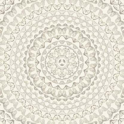 Papilion Magnolia Wallpaper