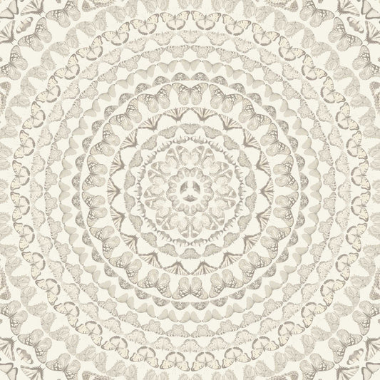 Papilion Magnolia Wallpaper