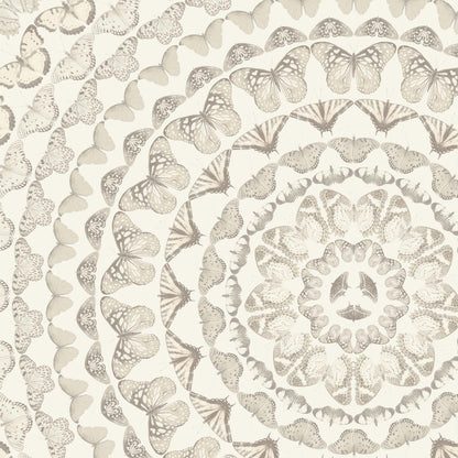 Papilion Magnolia Wallpaper