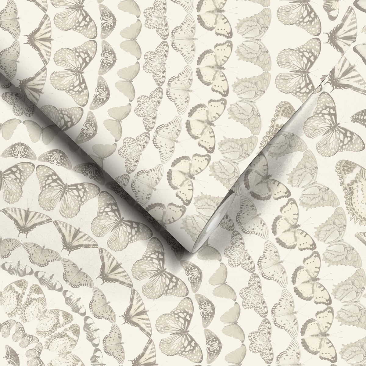 Papilion Magnolia Wallpaper