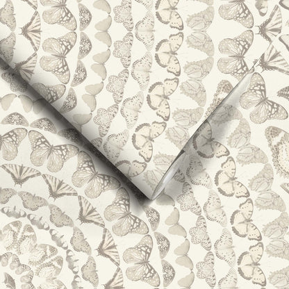 Papilion Magnolia Wallpaper