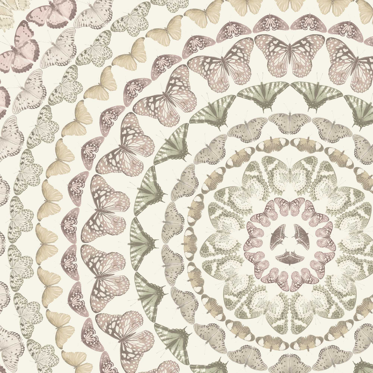 Papilion Pastel Wallpaper