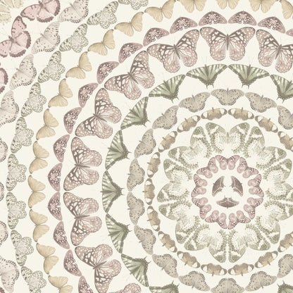 Papilion Pastel Wallpaper